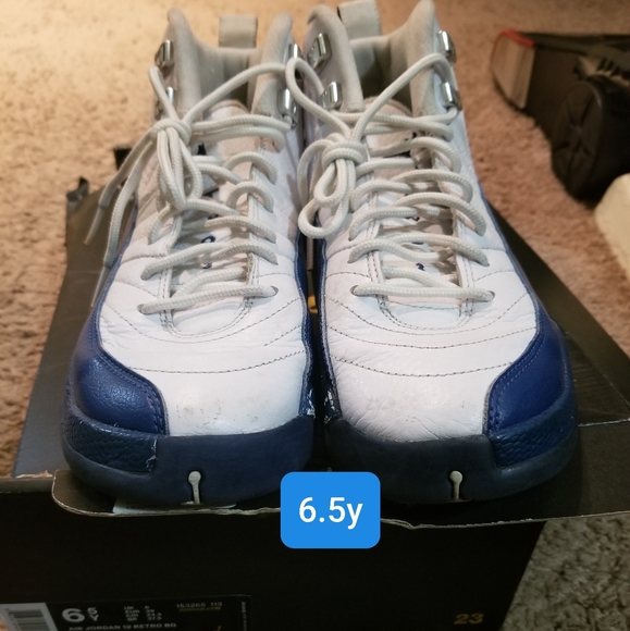 French blue Jordan 12s